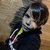 Moreiraramon6295