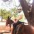 Alessandro Barros Sandes