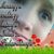 leandro silva