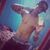 wilcyvan costa