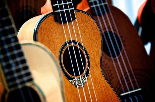 Três modelos de ukulele