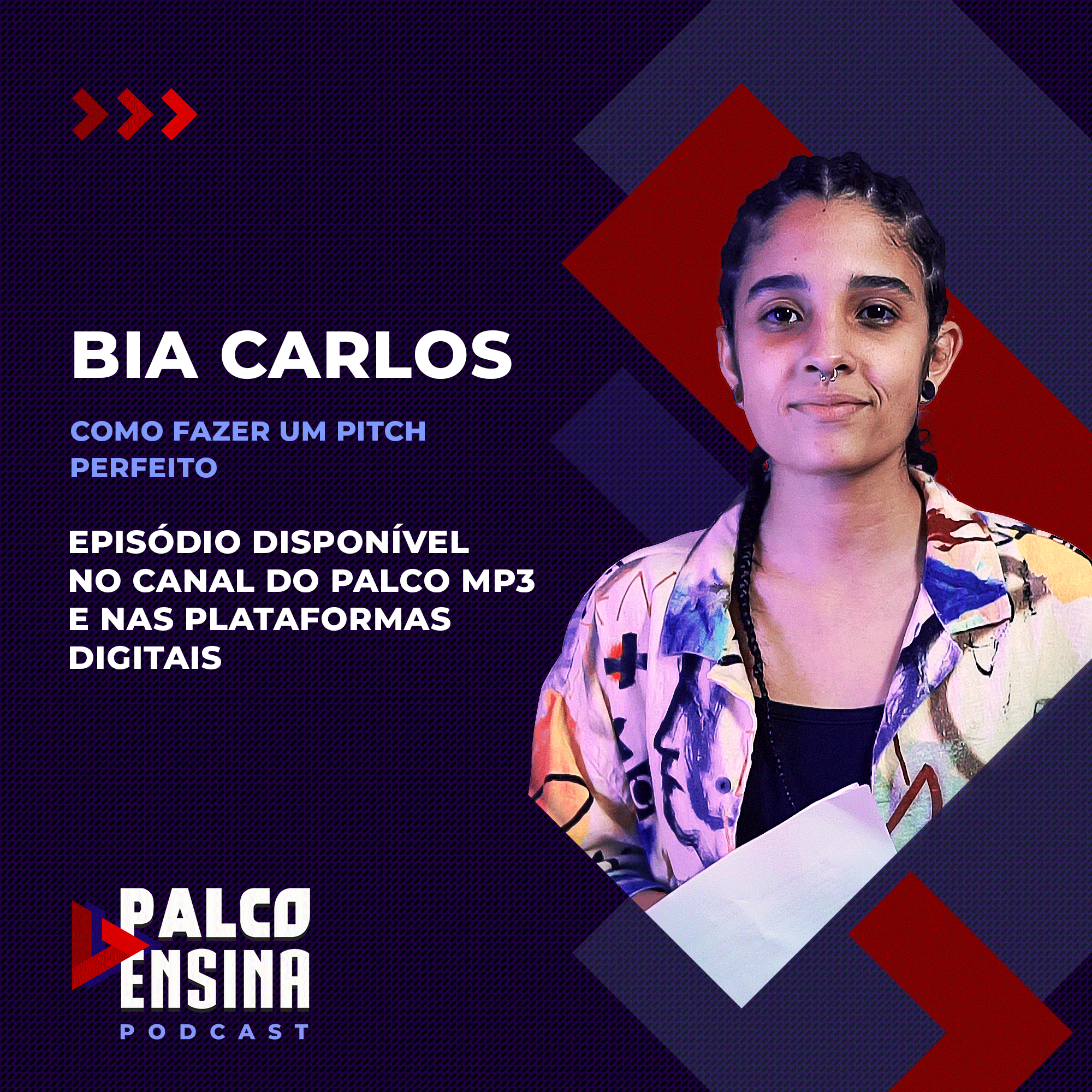 Aprenda como fazer um pitch perfeito