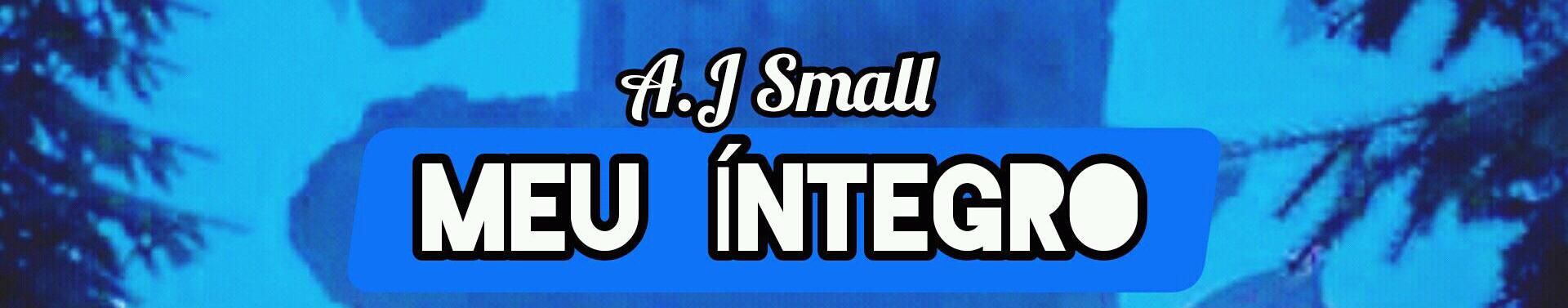 Imagem de capa de A.J Small
