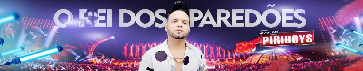 Imagem de capa de FORRO DOS PIRIBOYS VOL 4 ( 2013)