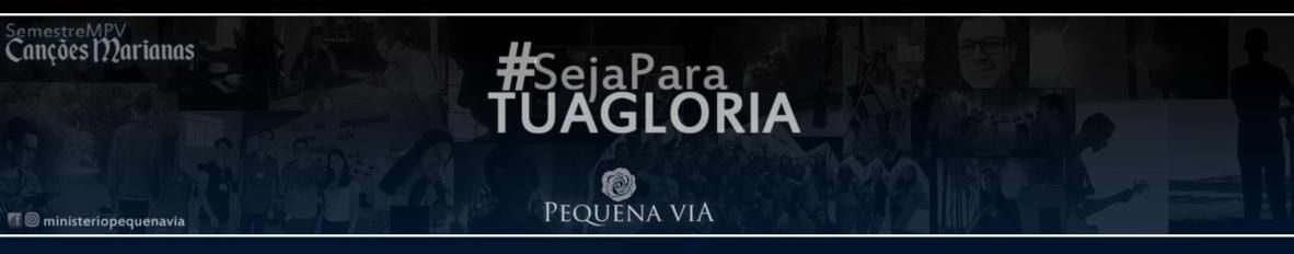 Imagem de capa de Pequena Via