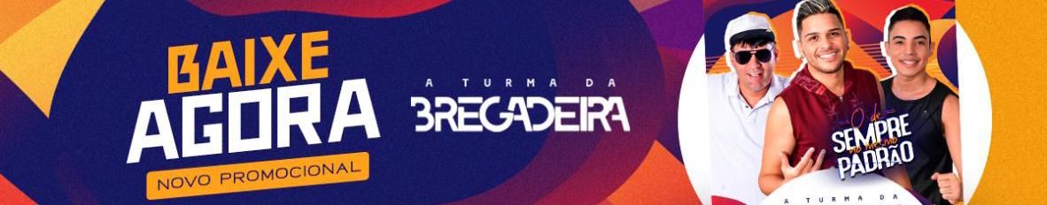 Imagem de capa de Turma da Bregadeira