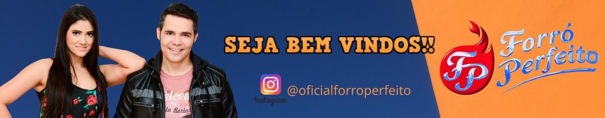 Imagem de capa de Forró Perfeito