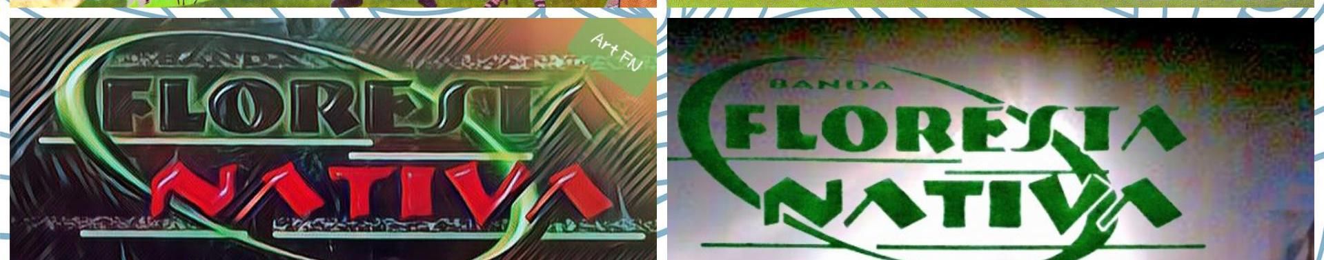 Imagem de capa de Banda Floresta Nativa
