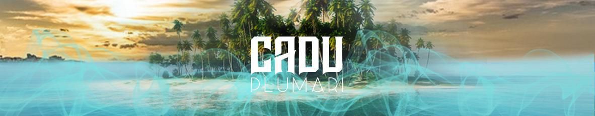 Imagem de capa de Plumari