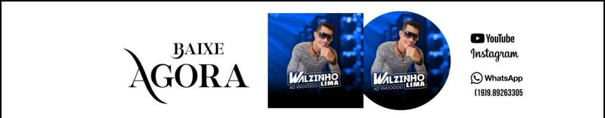 Imagem de capa de Walzinho Lima