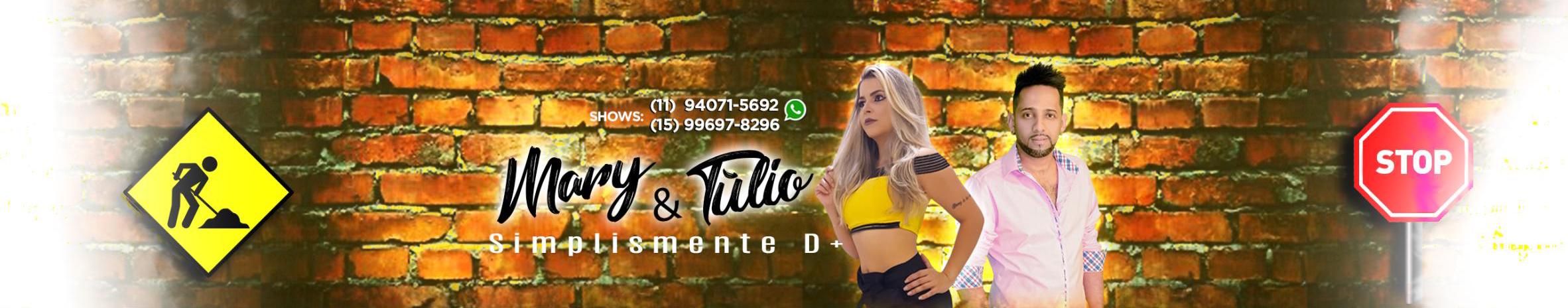 Imagem de capa de Mary e Túlio