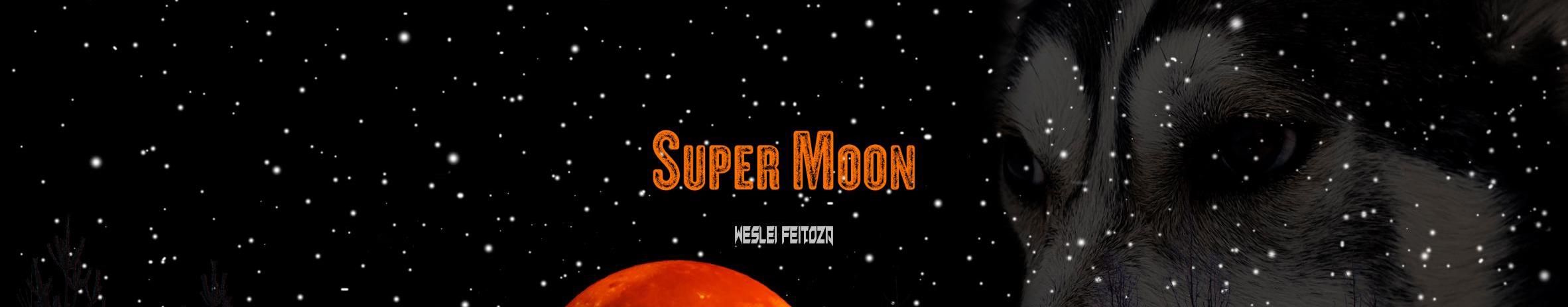 Imagem de capa de Weslei Feitoza