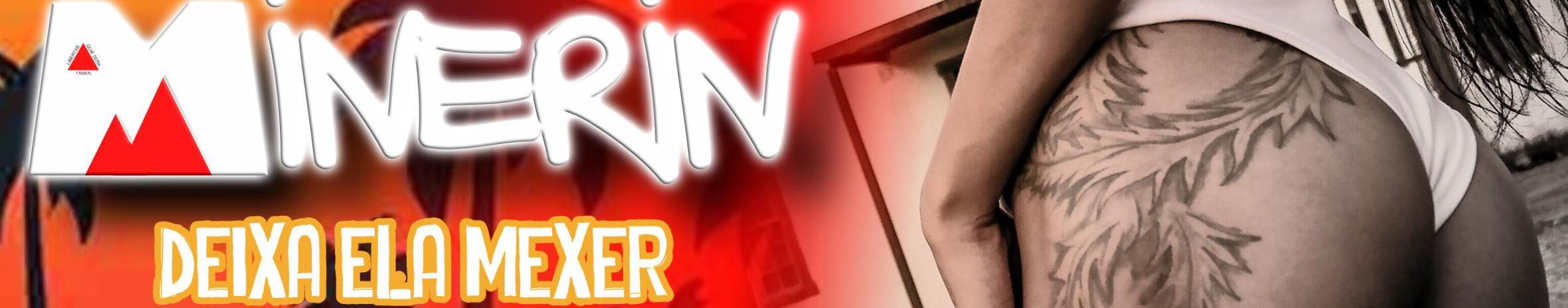 Imagem de capa de Minerin