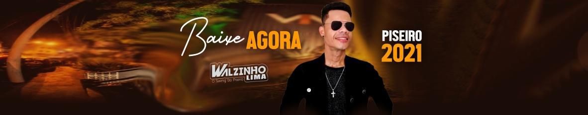 Imagem de capa de Walzinho Lima