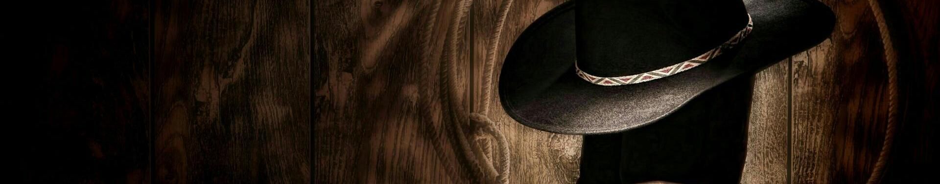 Imagem de capa de O Cowboy Da Sofrencis