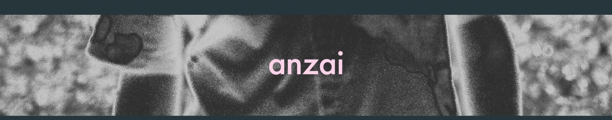 Imagem de capa de Anzai