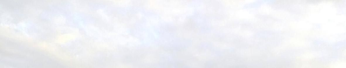Imagem de capa de IVO OLIVEIRA