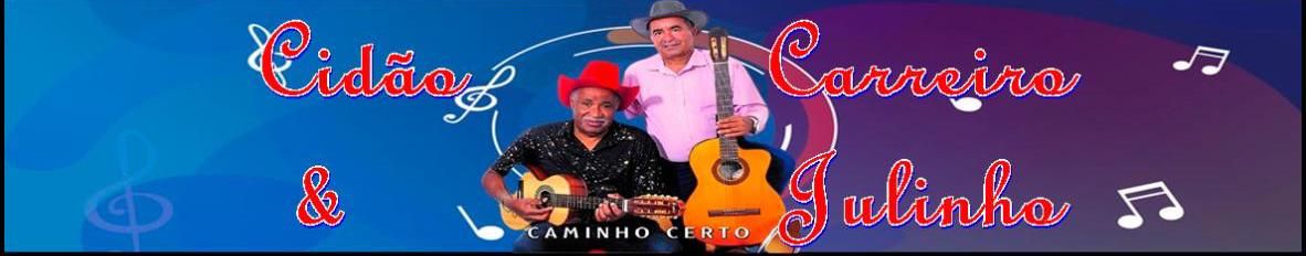 Imagem de capa de Cidão Carreiro e Julinho