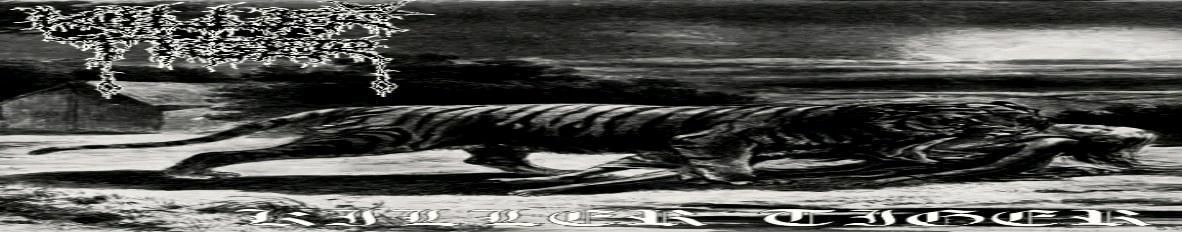 Imagem de capa de Killer Tiger