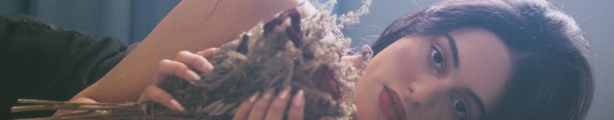 Imagem de capa de Lola Lopes