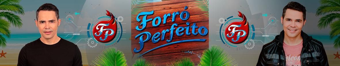 Imagem de capa de Forró Perfeito