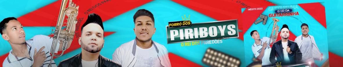 Imagem de capa de FORRO DOS PIRIBOYS VOL 4 ( 2013)