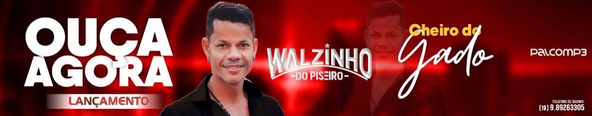 Imagem de capa de Walzinho Do Piseiro