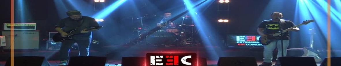 Imagem de capa de Estranhos em Comum