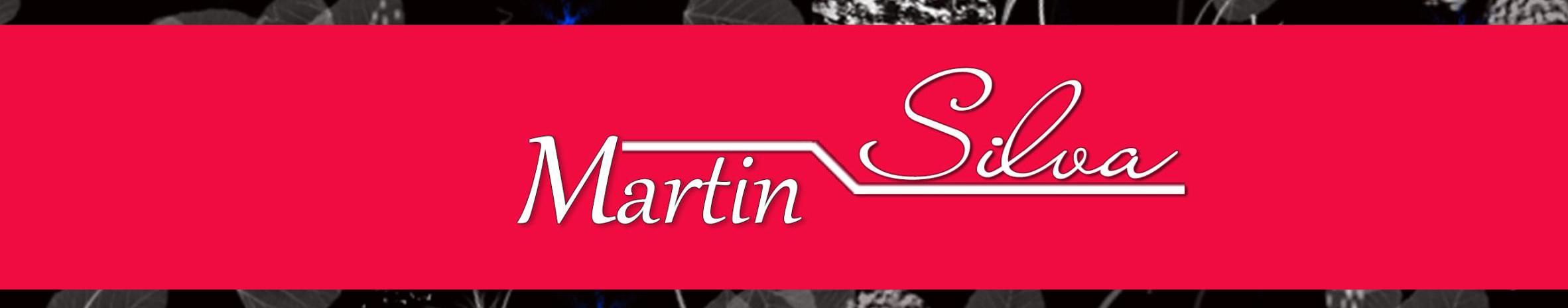 Imagem de capa de Martin Silva (Compositor)