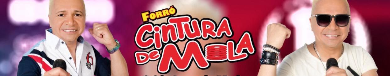 Imagem de capa de Cintura de Mola ®
