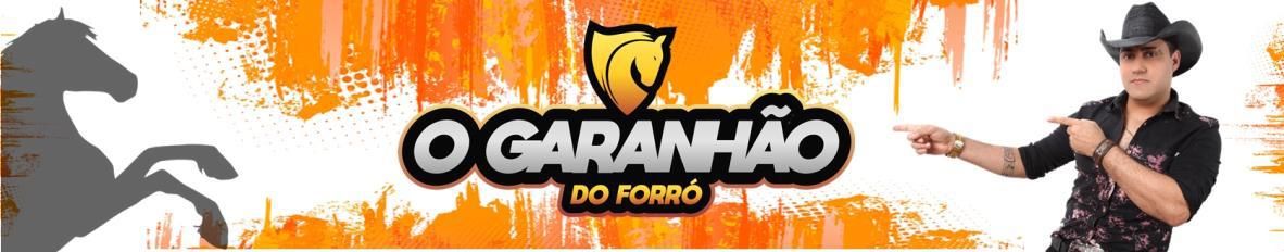 Imagem de capa de O GARANHÃO DO FORRÓ