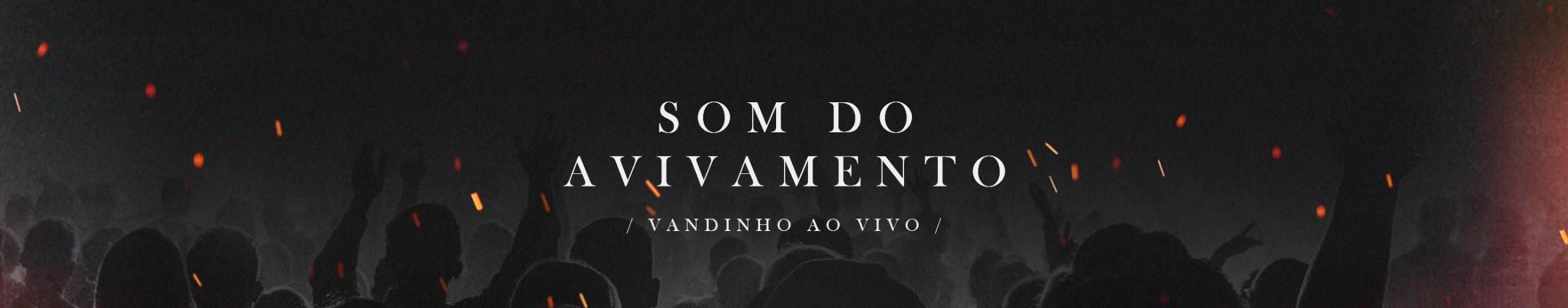 Imagem de capa de Vandinho