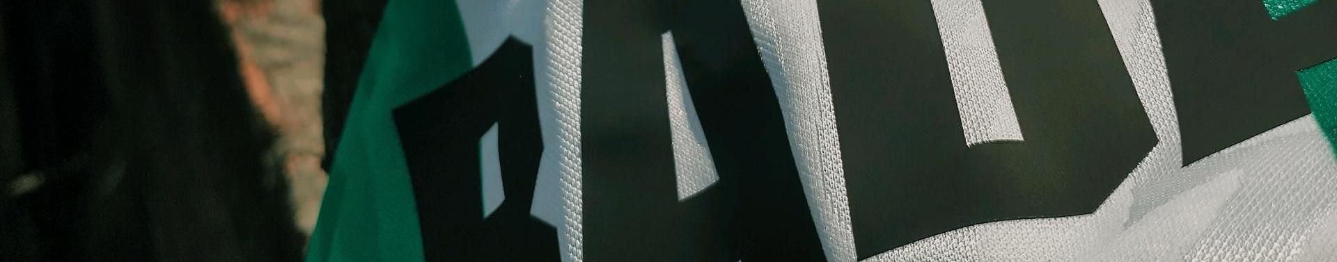 Imagem de capa de Badaion