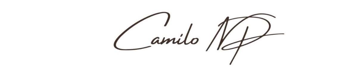 Imagem de capa de Camilo NP