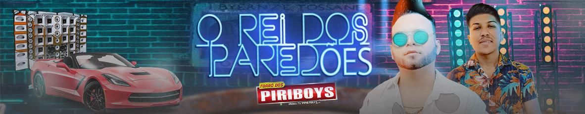 Imagem de capa de FORRO DOS PIRIBOYS O REI DOS PAREDÕES
