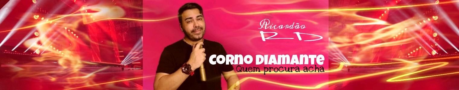 Imagem de capa de Ricardão RD