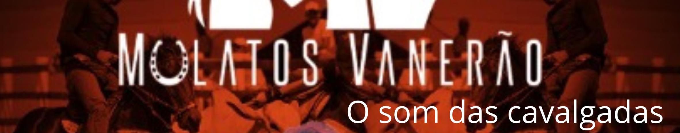Imagem de capa de Mulatos Vanerão