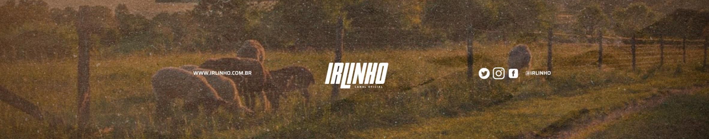 Imagem de capa de Irlinho