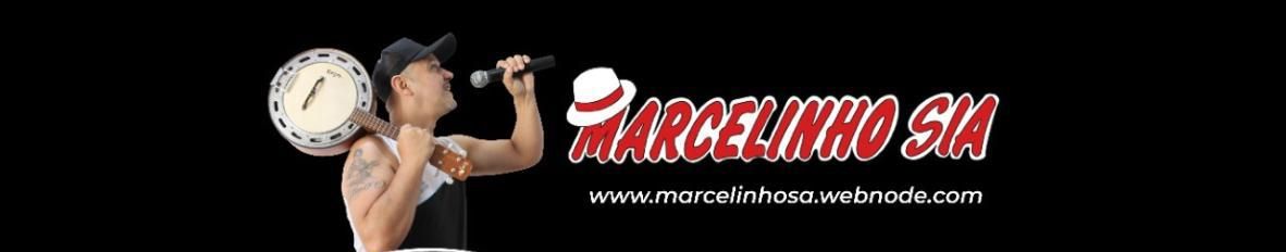 Imagem de capa de Marcelinho S/A