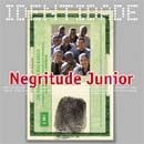 Imagem do álbum Série Identidade: Negritude Junior do(a) artista Negritude Junior