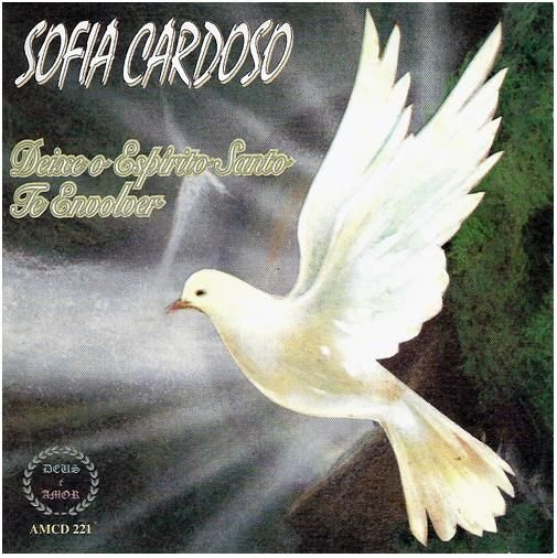 Baixar Cd Sofia Cardoso Voar Nas Asas Do Espirito Deixe O Espirito Santo Te Envolver Sofia Cardoso Letras Mus Br
