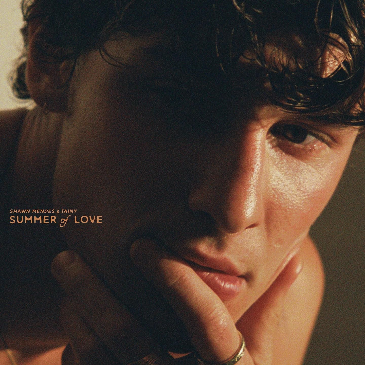 Imagem do álbum Summer Of Love (feat. Tainy) do(a) artista Shawn Mendes