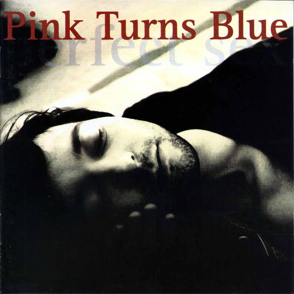 Perfect Sex Discografía De Pink Turns Blue Letras