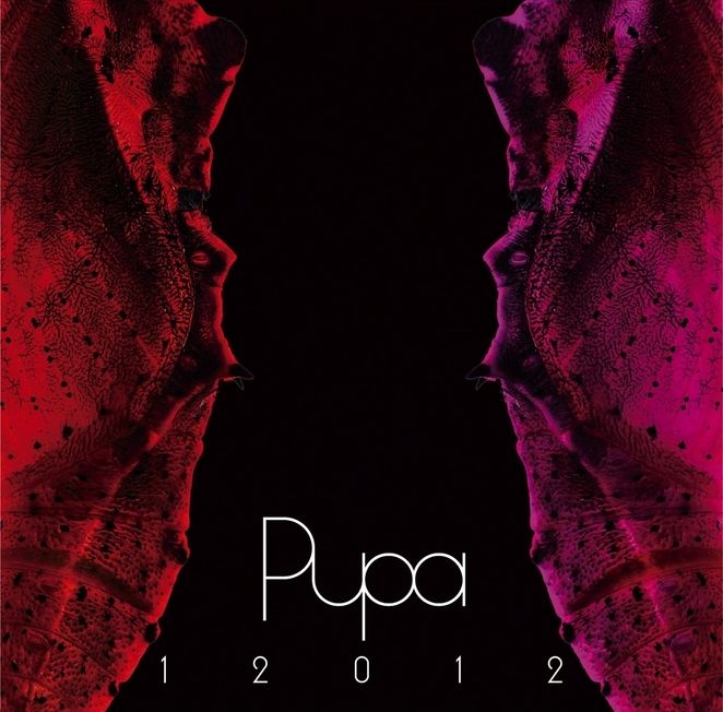 Imagem do álbum Pupa do(a) artista 12012