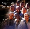 Imagem do álbum Para Sempre: Negritude Junior do(a) artista Negritude Junior