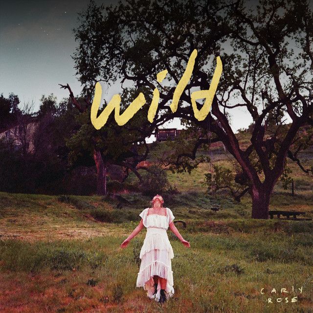 Imagem do álbum Wild do(a) artista Carly Rose Sonenclar