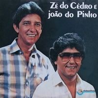 Imagem do álbum Jacutinga do(a) artista Ze do Cedro e João do Pinho