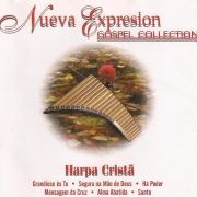 Nueva Expression