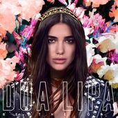 Be The One Dua Lipa Letras Mus Br