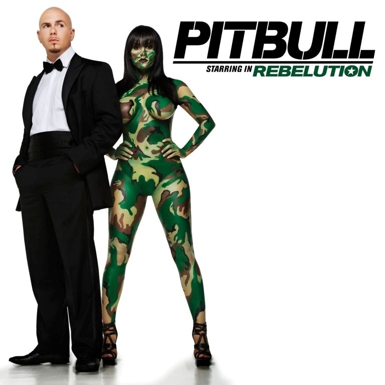 pitbull letras com 316 canciones